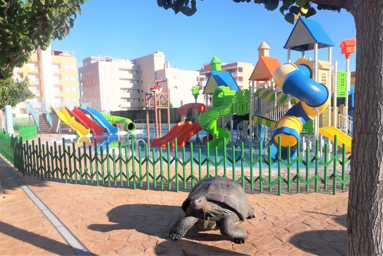 Campsite Y Monmar Moncofar