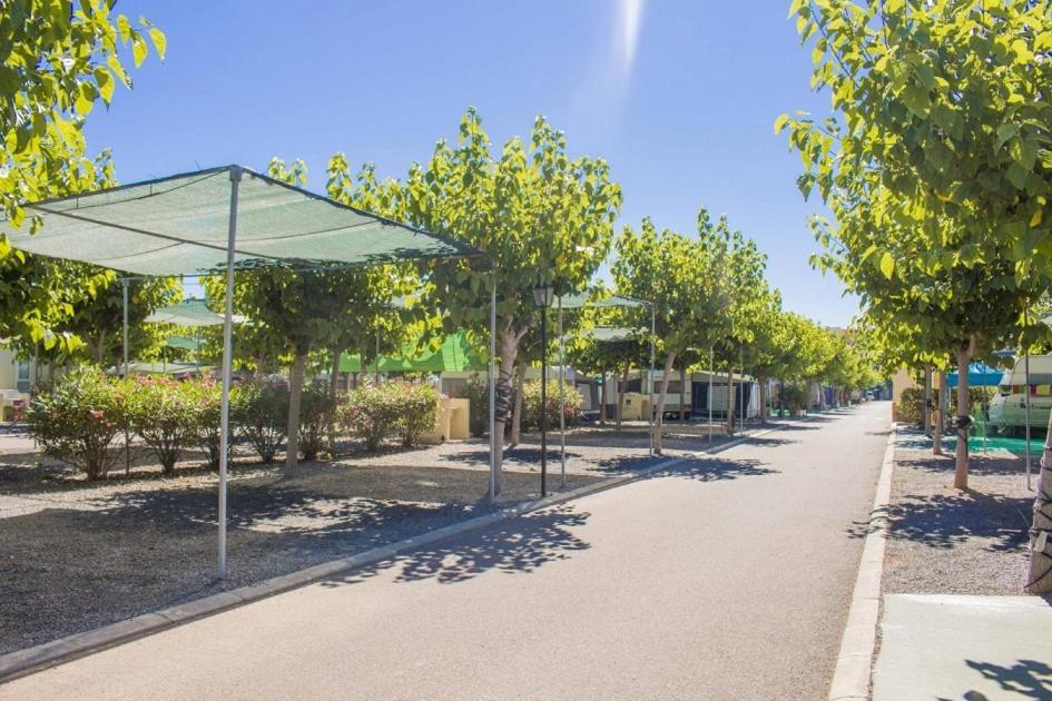 Y Monmar Campsite 4*