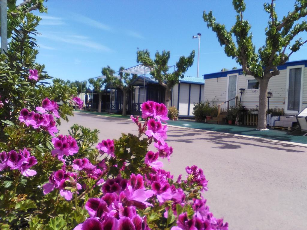Y Monmar Campsite