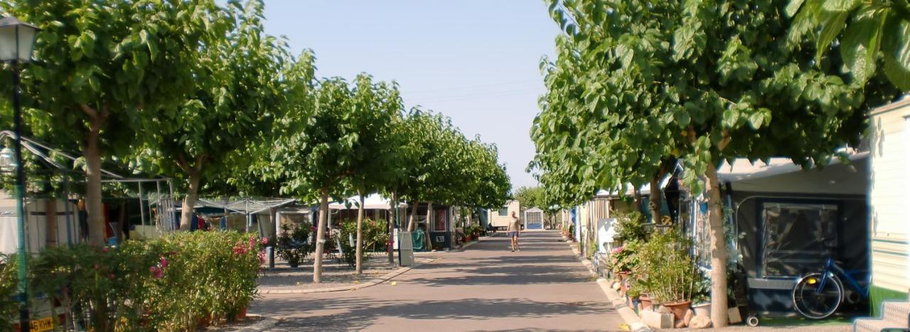 Y Monmar Campsite