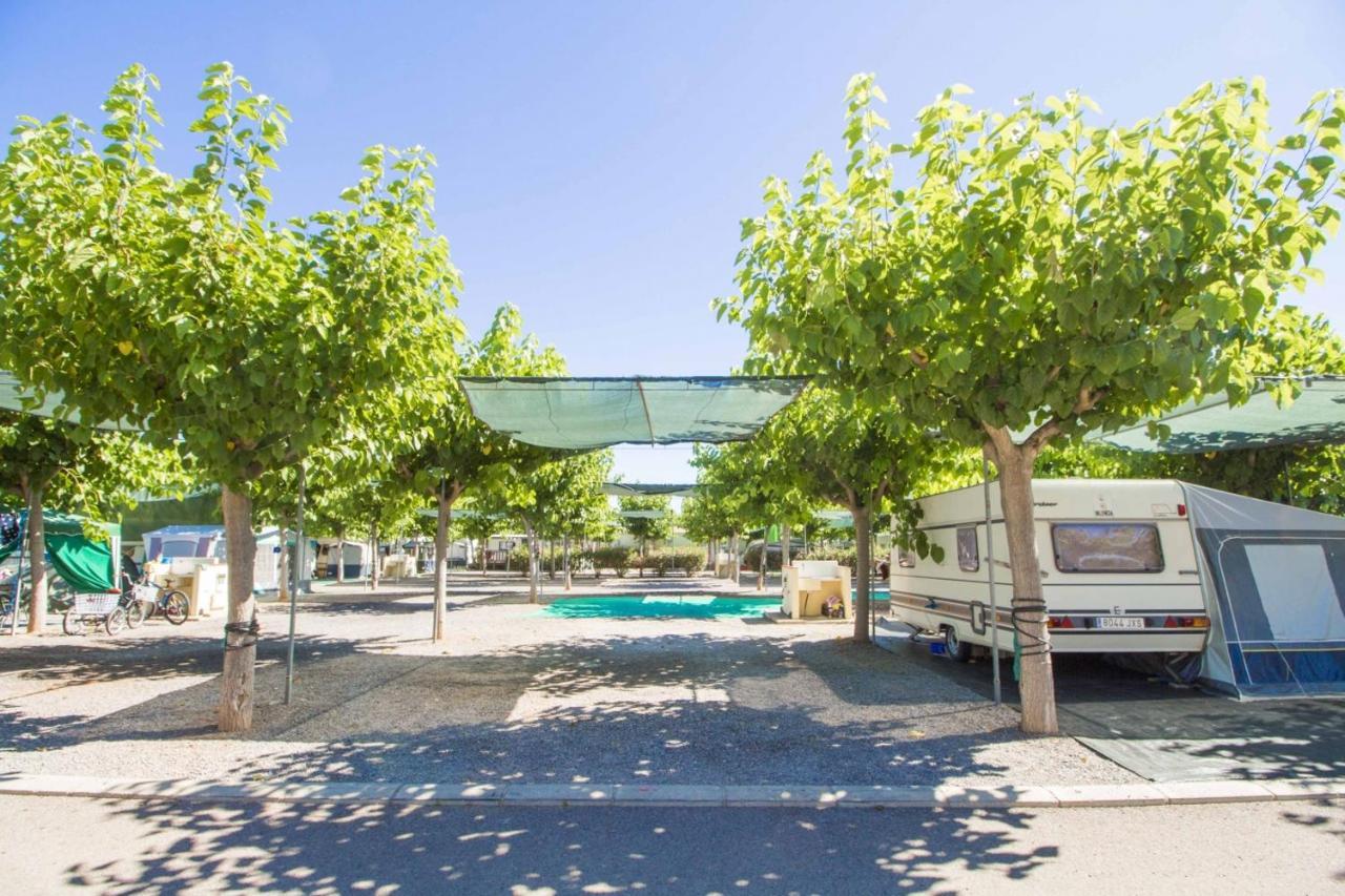 Y Monmar Campsite Moncofar